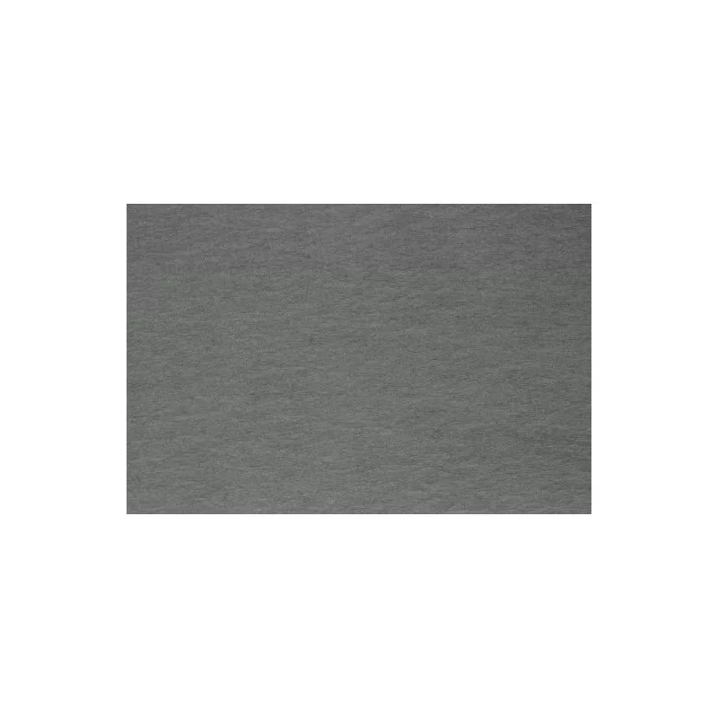 Crépon gris feuille 50 x 200 cm