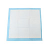 SET DE 10 TAPIS DE PROPRETE POUR CHIEN 6