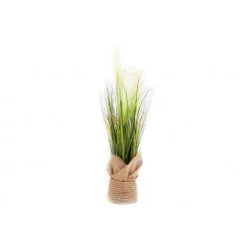 HERBE DES PAMPAS 65CM