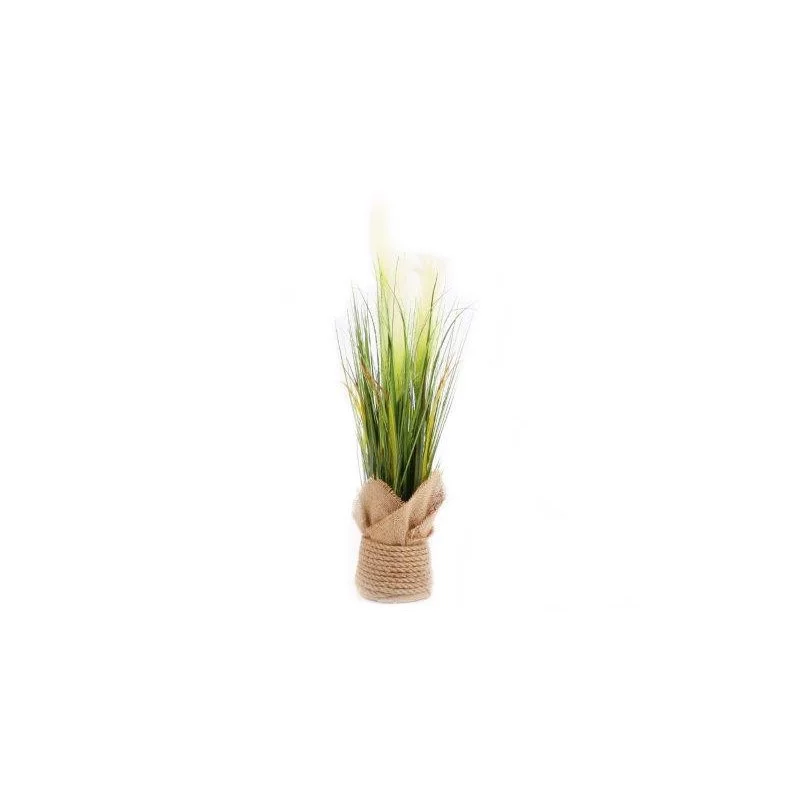 HERBE DES PAMPAS 65CM