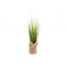 HERBE DES PAMPAS 65CM