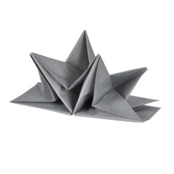 SERVIETTES PRE-PLIÉES GRIS 40*60CM X12