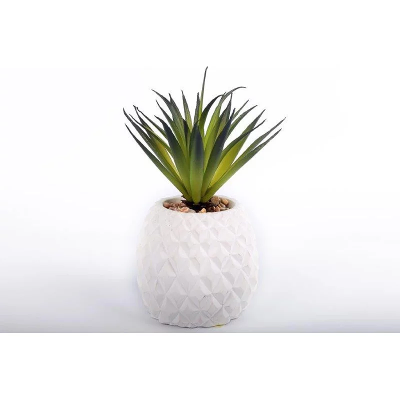 SUCCULENT EN POT ANANAS 9.5X22X9CM