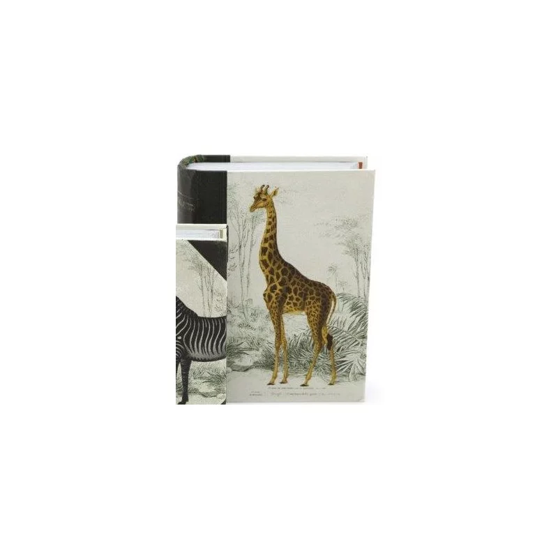 BOITE LIVRE SAFARI GIRAFE 33CM GM