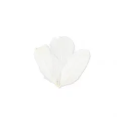 SACHET PLUMETTES BLANCHES 5 GRAMMES