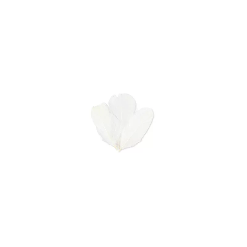 SACHET PLUMETTES BLANCHES 5 GRAMMES