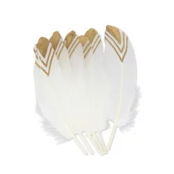 6 PLUMES ETHNIQUE BLANCHES ET OR 18-20C