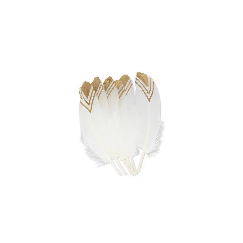 6 PLUMES ETHNIQUE BLANCHES ET OR 18-20C