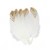6 PLUMES ETHNIQUE BLANCHES ET OR 18-20C