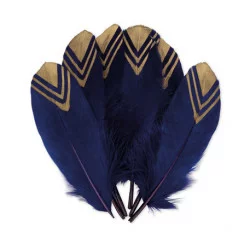 6 PLUMES ETHNIQUE MARINE ET OR 18-20CM