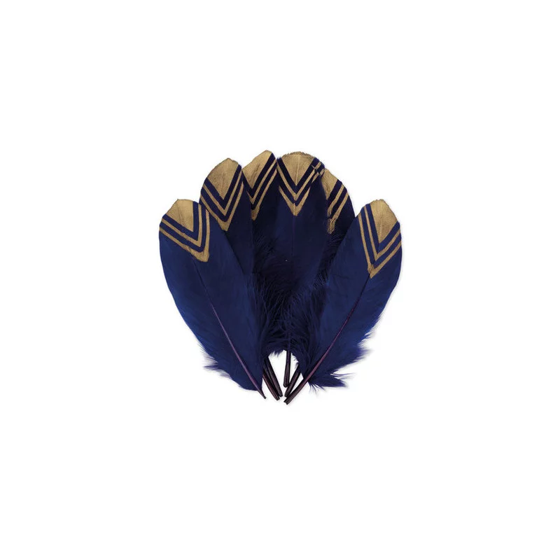 6 PLUMES ETHNIQUE MARINE ET OR 18-20CM