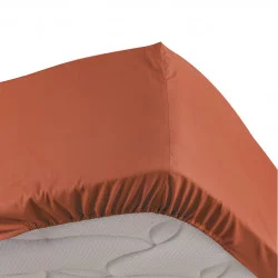 PERCALE DRAP HOUSSE TERRACOTTA 160x200C