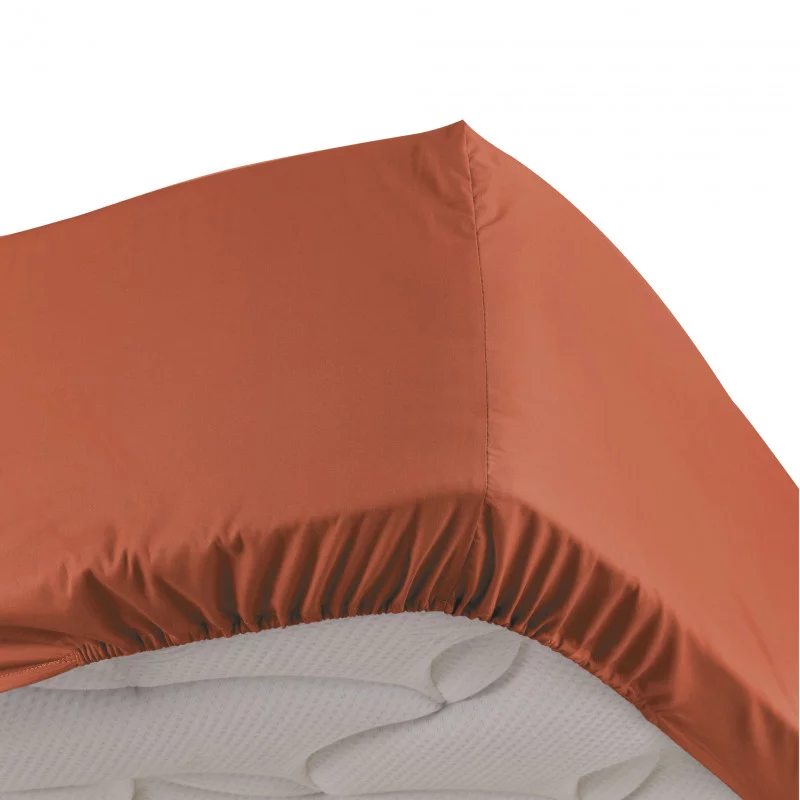PERCALE DRAP HOUSSE TERRACOTTA 160x200C