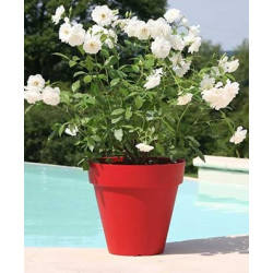 BAC PATIO ROND 50 ROUGE