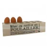 BOITE À OEUFS 12 CAVITÉS