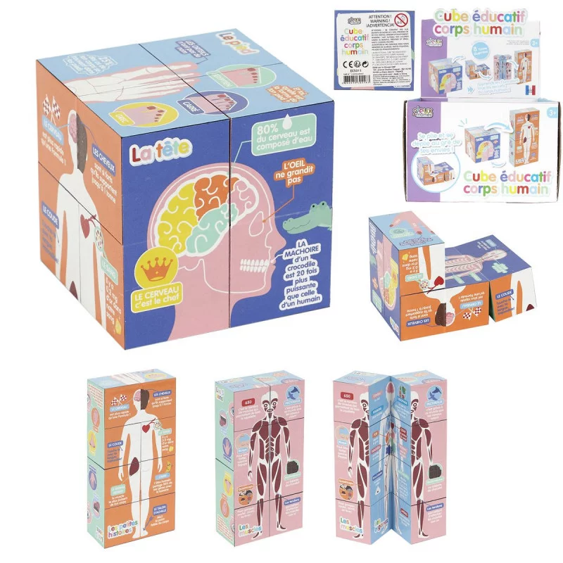 CUBE EDUCATIF CORPS HUMAIN