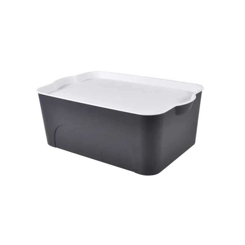 BOX ANTHRACITE 16L 40x27xH.15CM AVEC CO