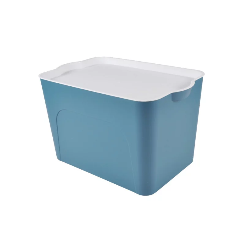 BOX BLEU PAON 26L 40x27xH.24,5CM AVEC CO