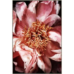 CADRE PIVOINE ROSE 60X90CM