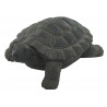TORTUE 31X24X12CM "FIBRE"