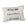 COUSSIN VACANCES 40X60 GRIS CLAIR