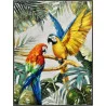TABLEAU PERROQUETS 90X120CM