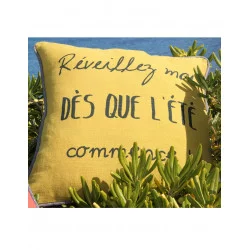 COUSSIN 45X45 VACANCES ANTIC MOSS