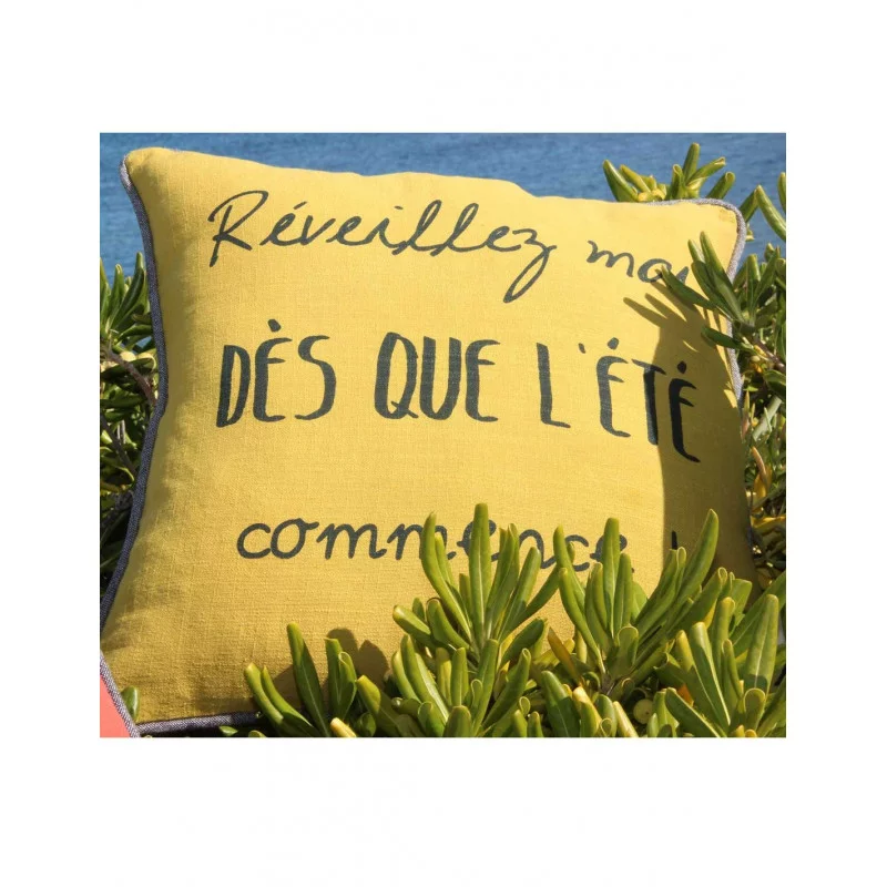 COUSSIN 45X45 VACANCES ANTIC MOSS