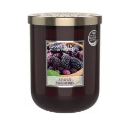 BOUGIE GRANDE JARRE 340G MURE SAUVAGE