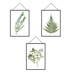 STICKER PM CADRES HERBIERS