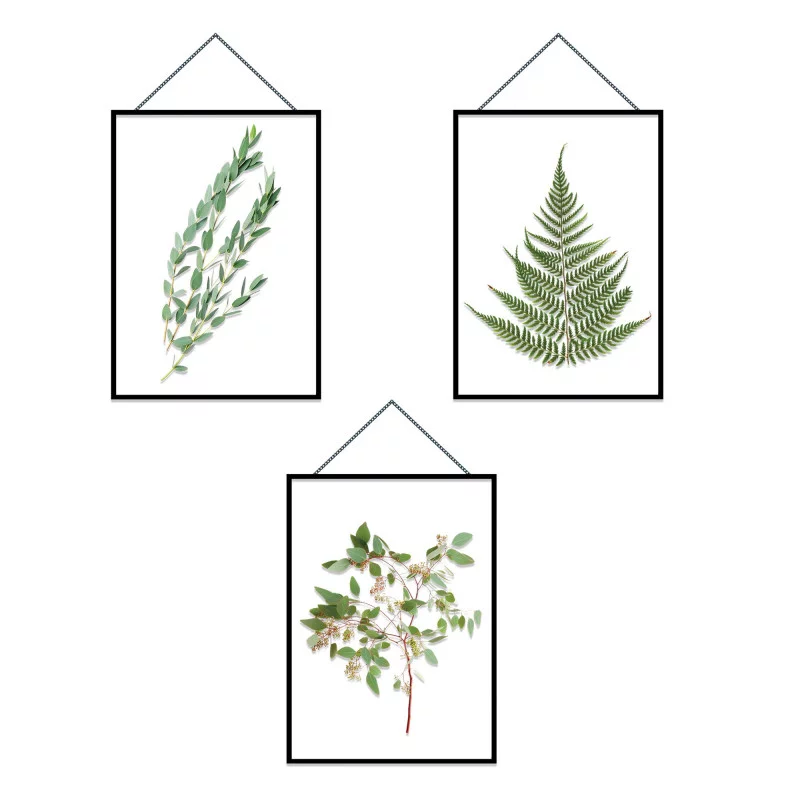 STICKER PM CADRES HERBIERS