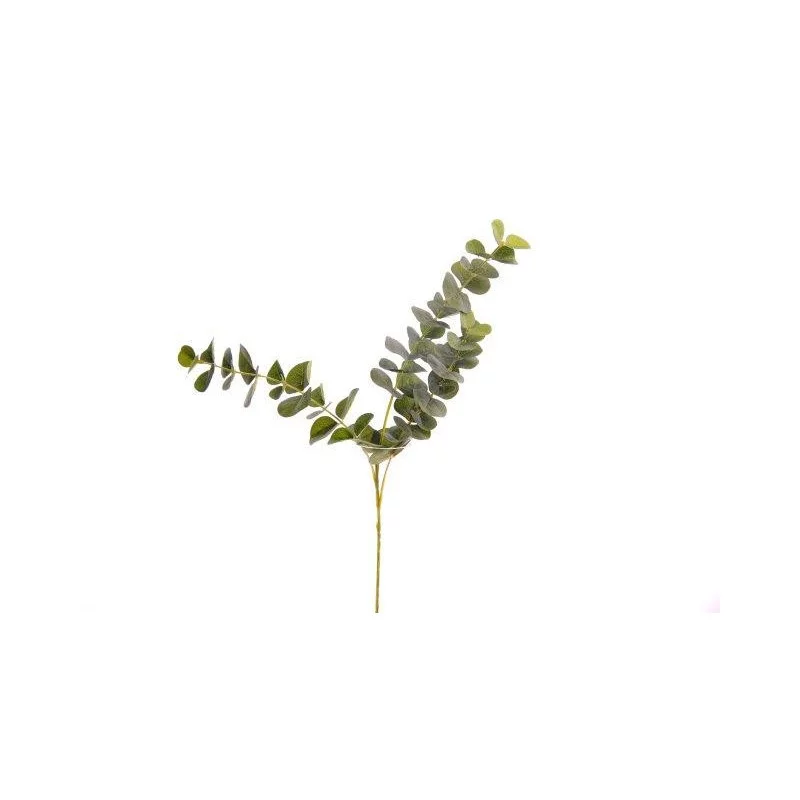 TIGE EUCALYPTUS 62X30