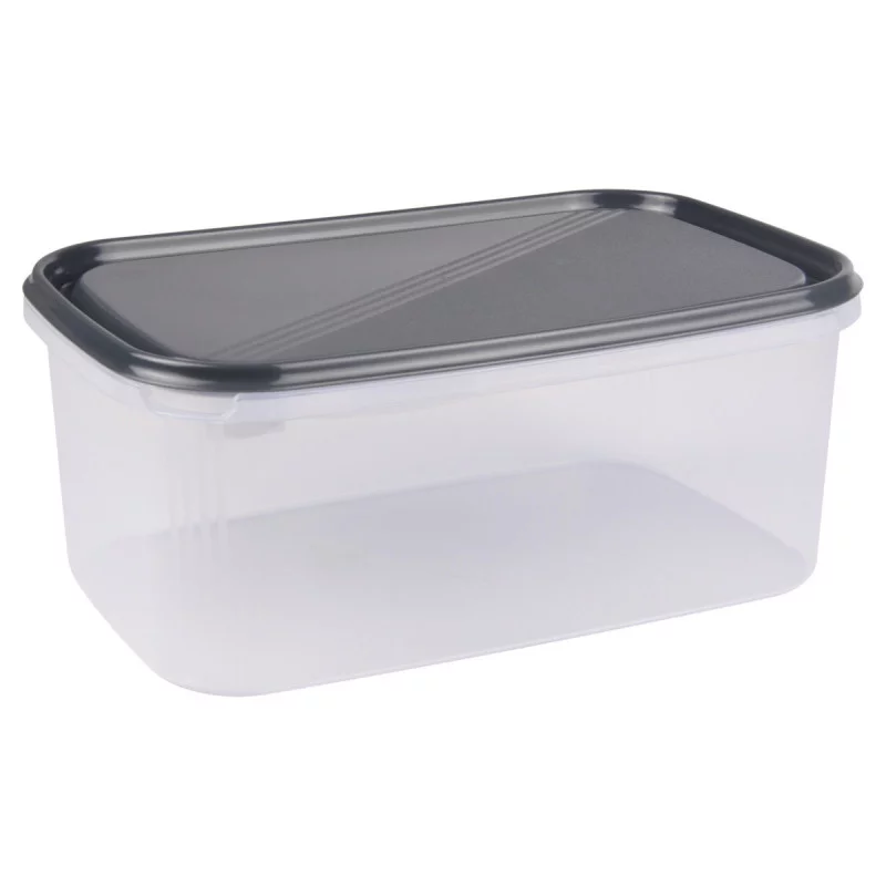 BOITE RECTANGLE 4.4L AVEC COUVERCLE - 29