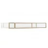 PLATEAU FEUILLES OR VERRE ET METAL DORE