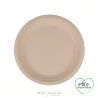 ASSIETTES RONDES X12 CANNE A SUCRE D18CM