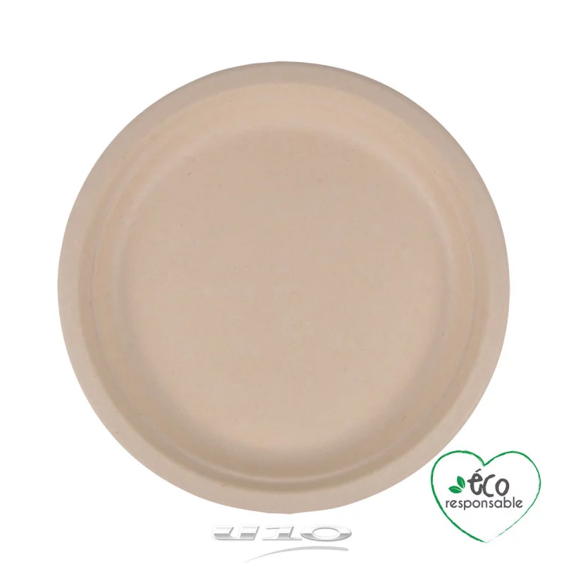 ASSIETTES RONDES X12 CANNE A SUCRE D22CM