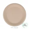 ASSIETTES RONDES X12 CANNE A SUCRE D22CM