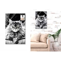 TOILE CHAT 40X60CMS