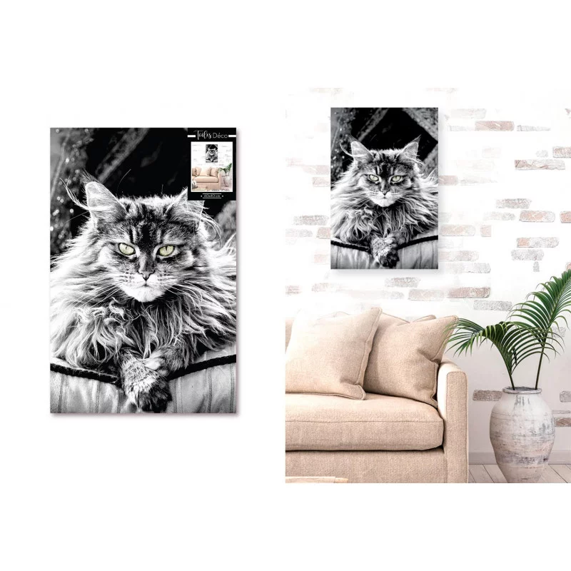 TOILE CHAT 40X60CMS