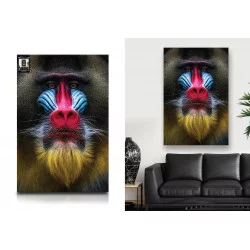 TOILE TETE MANDRILL 80X120CMS