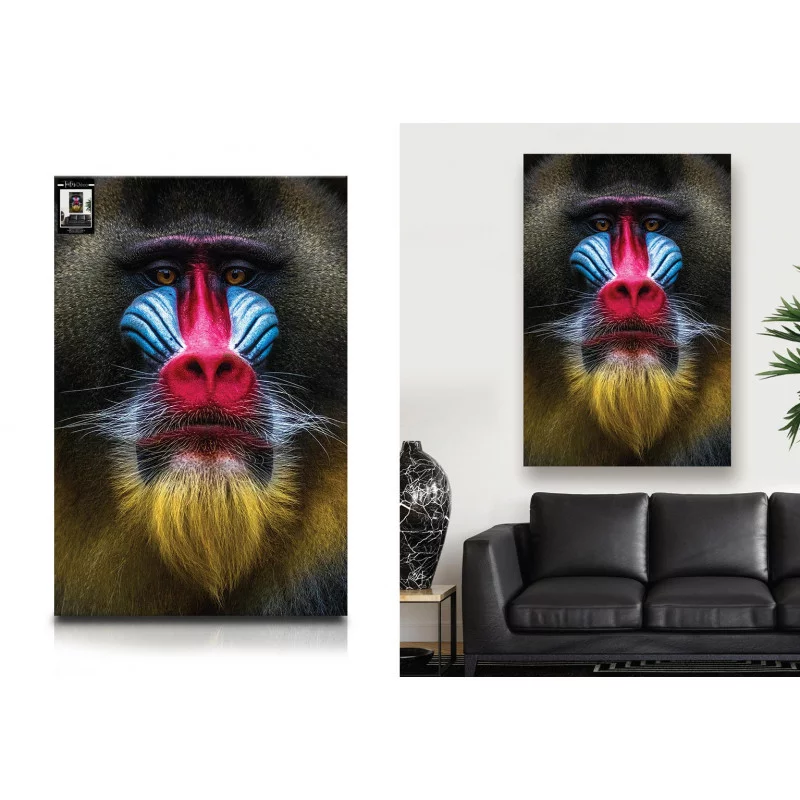 TOILE TETE MANDRILL 80X120CMS TOILE TETE MANDRILL 80X120CMS