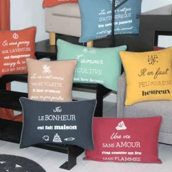 COUSSIN 45X45 AMOUR GRANIT