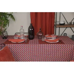 NAPPE GEO ROUGE 250X150 ENDUITE PLASTIFI