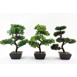 BONSAI 37CM
