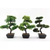 BONSAI 37CM