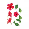 STICKER HIBISCUS