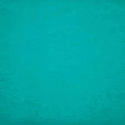 CREPON BLEU CANARD FEUILLE 50 X 200 CM