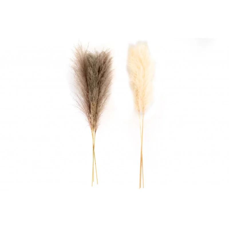 HERBES PAMPAS NATUREL 105CM X3PCS - 2ASS