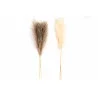 HERBES PAMPAS NATUREL 105cm X3 PIÈCES - 2 ASSORTIMENTS