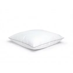 OREILLER MEMOIRE DE FORME 40X60CM